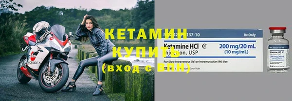 стаф Богданович
