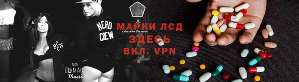 стаф Богданович