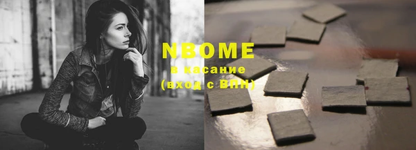 стаф Богданович