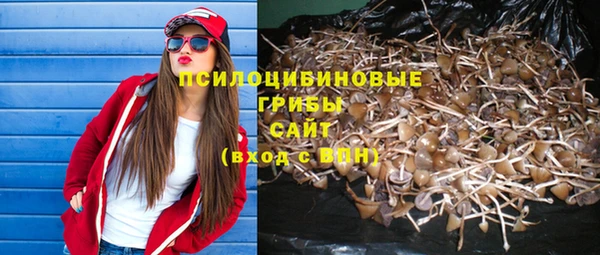 Альфа ПВП Богородицк