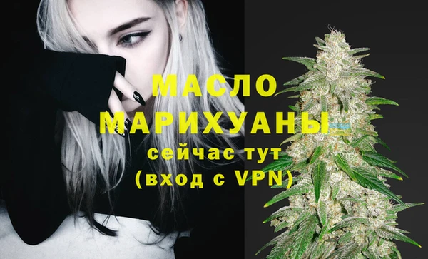 стаф Богданович