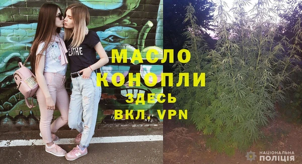 стаф Богданович