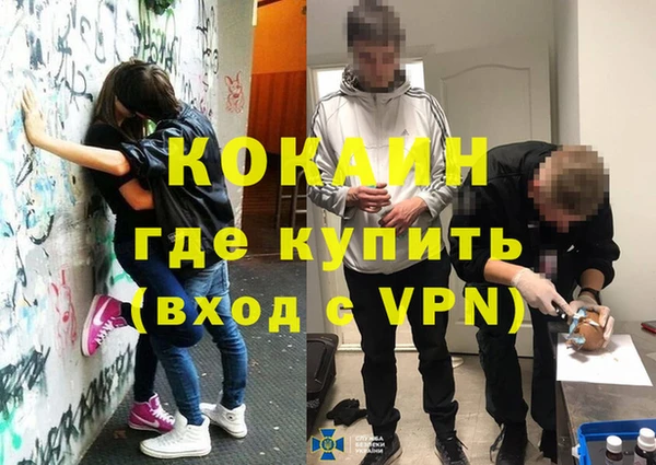 стаф Богданович