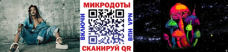 Галлюциногенные грибы Psilocybine cubensis  Чита 
